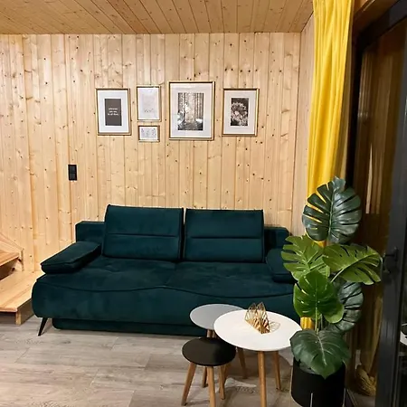 W Borach Domek letniskowy