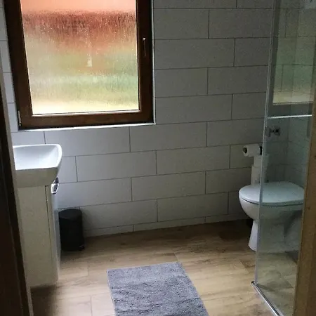 W Borach Domek letniskowy