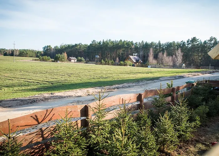 W Borach Gerendaház Wycinki