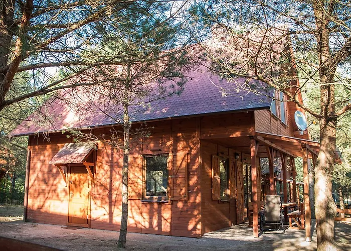 Lodge W Borach Wycinki